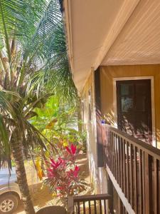 a porch of a house with a palm tree at Island style home, low key rental in Roatan