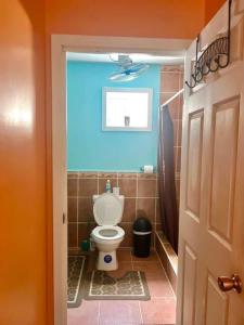 a bathroom with a toilet with a blue ceiling at Island style home, low key rental in Roatan