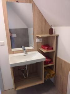 ein Bad mit einem Waschbecken und einem Spiegel in der Unterkunft Landcafe SIMA & Zimmervermietung in Forheim