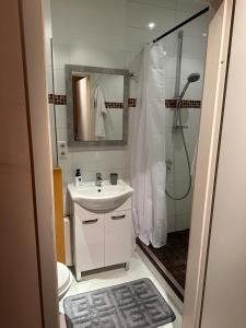 ein Badezimmer mit einem weißen Waschbecken und einer Dusche in der Unterkunft Innenstadt Lübeck Ferienwohnung in Lübeck