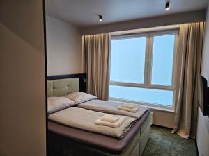a bedroom with a bed with a large window at Apartament Ogrodowa in Łódź