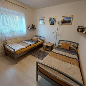 two beds in a room with a window at Garsonka in Jílové u Prahy