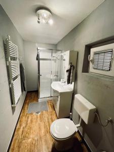 y baño con aseo, lavabo y ducha. en Riverhouse apartment en Radovljica