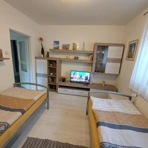 TV a/nebo společenská místnost v ubytování Garsonka