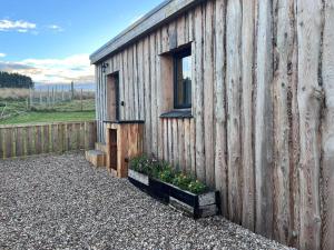 a small wooden building with a window and some flowers at Honeysuckle Straw Bale Cabin in Dallas
