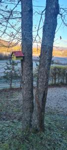 a tree with a bird house on the side of it at Vikendica Volar in Prijedor