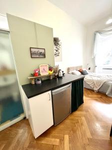 una cucina con bancone e un letto in una camera di Robins Nest in The City Center a Maribor