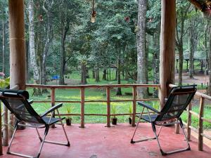 dos sillas sentadas en un porche mirando a un parque en 900 Woods Wayanad Eco Resort - 300 Acre Forest Property Near Glass Bridge en Meppādi