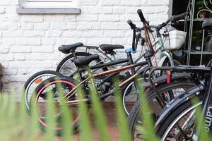 - un groupe de vélos garés à côté d'un bâtiment dans l'établissement La Bergerie, à Leuze-en-Hainaut