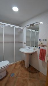 a bathroom with a sink and a shower and a toilet at Apartamento Nievesol con 2 Parking y WiFi in Sierra Nevada