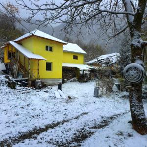 una casa amarilla con nieve en el suelo en STD "Vila Bor" Stara planina en Crni Vrh