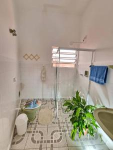 uma casa de banho com um chuveiro, um WC e uma planta em No Centro a 3 min da praia, Pet Friendly e Wi Fi em Peruíbe