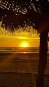 una puesta de sol en la playa con una palmera en No Centro a 3 min da praia, Pet Friendly e Wi Fi en Peruíbe