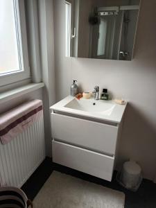 een badkamer met een witte wastafel en een spiegel bij The best known village of Belgium in Puurs