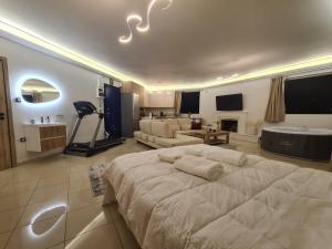 ein Schlafzimmer mit einem großen Bett und ein Wohnzimmer in der Unterkunft Sunny Home Private Jacuzzi Hydromassage Acropolis & Lycabettus Far View Parking 300m Metro Peristeri in Athen
