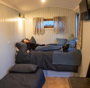 a person laying on a couch in a living room at Carlingford Glamping Hut 