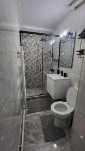 ein Bad mit einer Dusche, einem WC und einem Waschbecken in der Unterkunft Garsoniera NAVI in Onești