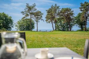 Phong cảnh thiên nhiên gần căn hộ +41 ảnh