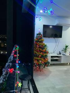 a christmas tree with lights in a living room at Paradise Apartment in San Salvador