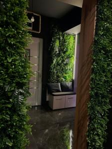 札耶查爾的住宿－Beta Lux，一条带白色门和绿色植物的走廊