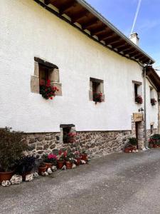 a building with potted plants on the side of it at Casa Rural Juanbarterena in Ulzurrun