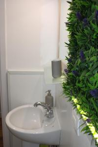 uma casa de banho com um lavatório e uma planta verde em GeLiRó Apartment Catania Centro em Catânia