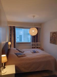 ein Schlafzimmer mit einem großen Bett und einem Fenster in der Unterkunft Rovaniemi city Apartment in Rovaniemi