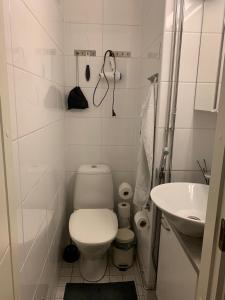 ein weißes Bad mit einem WC und einem Waschbecken in der Unterkunft Rovaniemi city Apartment in Rovaniemi