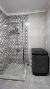 um chuveiro com uma porta de vidro na casa de banho em Modern and cozy apartment no Cairo
