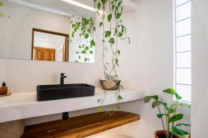Foto sihtkohas Playa Santa Teresa asuva majutusasutuse Botanika Suites galeriist