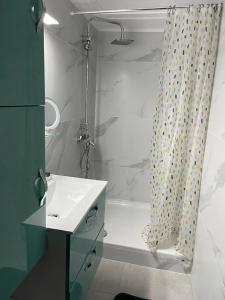 uma casa de banho com um lavatório e um chuveiro com uma cortina de chuveiro em Studio renové rdc terrasse wépion (Namur) em Namur