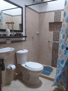 y baño con aseo, lavabo y ducha. en Beautiful Country House located in Llanogrande en Rionegro