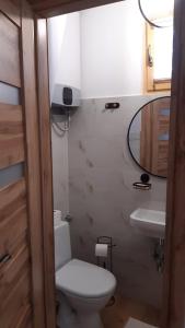 a bathroom with a toilet and a sink at Kuźnia pod Lipą in Odrowąż +4 photos