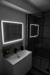 un bagno con un lavandino bianco e una doccia di LUXURIOUS SEASIDE APARTMENT a Groomsport Altre 7 foto