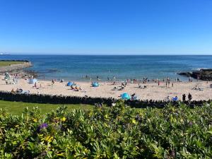 un gruppo di persone su una spiaggia vicino all'oceano di LUXURIOUS SEASIDE APARTMENT a Groomsport