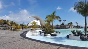 Una piscina con palmeras y un edificio. en Casa Guadalupe y Roque, en Santa Cruz de Tenerife