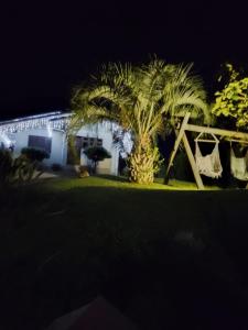 een palmboom voor een huis 's nachts bij Casa aconchegante Gramado em local tranquilo- 5 km do centro locação temporada in Gramado