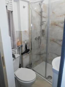 a bathroom with a toilet and a shower at Casa Bucur in Târgu Ocna