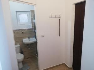 a bathroom with a toilet and a sink at Casa Bucur in Târgu Ocna