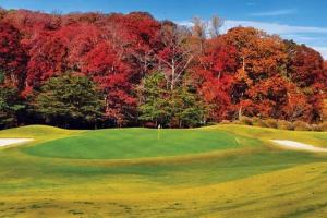 een golfbaan met valbomen op de achtergrond bij *NEW* Green Cedar Lodge, Nature Lovers Dream! in Oak Ridge