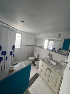 a bathroom with a sink and a toilet at De norte a sur in Puerto Madryn