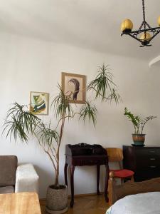 ein Wohnzimmer mit 2 Pflanzen und einem Tisch in der Unterkunft Wisła River Apartment in Warschau