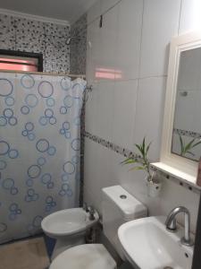 a bathroom with a toilet and a sink and a shower at La casa de Tilili in Puerto Iguazú