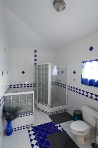 a blue and white bathroom with a toilet and a shower at C&D Residential Penthouse in The Valley