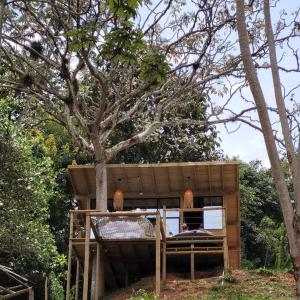 a small wooden house with a tree in the yard at Kuyana Glamping in Cali