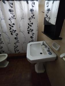 ein Badezimmer mit einem Waschbecken, einem WC und einem Duschvorhang in der Unterkunft Posada La Justy EZEIZA in Ezeiza
