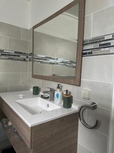 ein Badezimmer mit einem weißen Waschbecken und einem Spiegel in der Unterkunft Havre de paix, en atlantique ! in Sainte-Marie