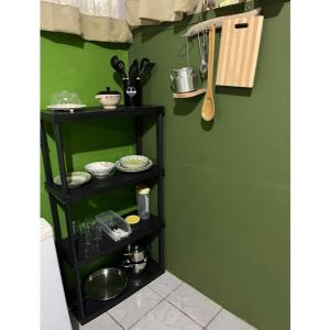 une étagère dans une cuisine avec un mur vert dans l'établissement Casa Coco, à Puerto Jiménez