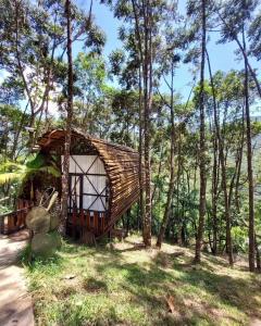 a small house in the woods with trees at Glamping San Luis in San Luis