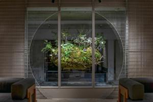 a large plant in a window in a building at RAKURO Kyoto by THE SHARE HOTELS in Kyoto